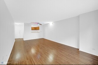 801 S Plymouth Ct in Chicago, IL - Foto de edificio - Building Photo