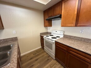 1992 Luby Dr in San Jose, CA - Building Photo - Building Photo
