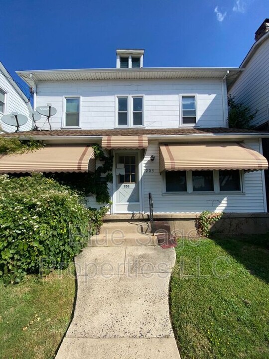 203 Clifton Ave in Collingdale, PA - Building Photo