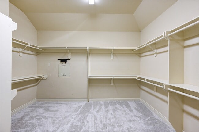 property at 3502 Windmill Elm St