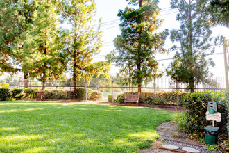 Stonewood Apartments in Riverside, CA - Foto de edificio - Building Photo