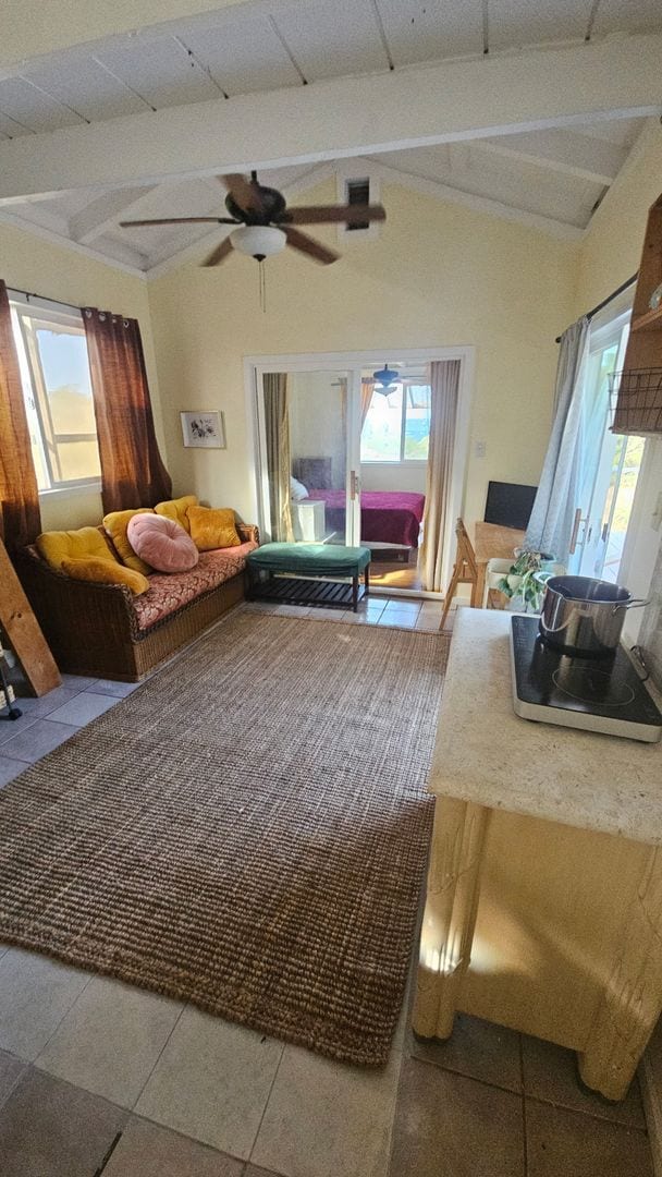 694 Kaae Rd in Wailuku, HI - Building Photo - Building Photo