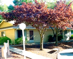 Victoria Arms in Grants Pass, OR - Building Photo