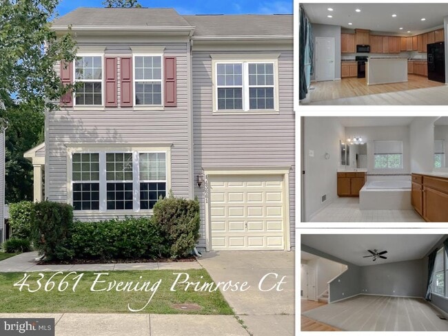 property at 43661 Evening Primrose Ct
