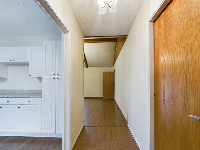 1302 Dominik Dr in College Station, TX - Building Photo - Building Photo