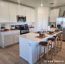 6432 DOMIZIO Dr in Cypress Gardens, FL - Building Photo - Building Photo