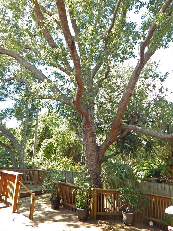 2807 W Bay Haven Dr in Tampa, FL - Building Photo - Building Photo