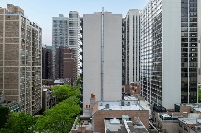 33 E Cedar St in Chicago, IL - Building Photo - Building Photo