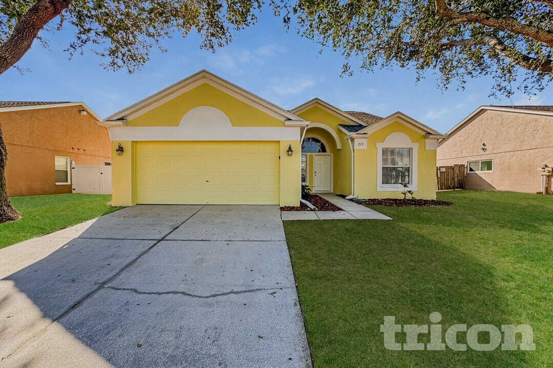 217 Lakeway Ln in Apollo Beach, FL - Building Photo