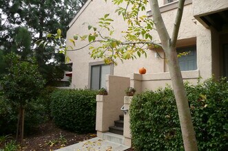 8437 Via Mallorca in San Diego, CA - Building Photo - Building Photo