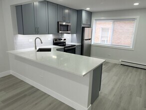 6747 N Olmsted Ave in Chicago, IL - Building Photo - Building Photo