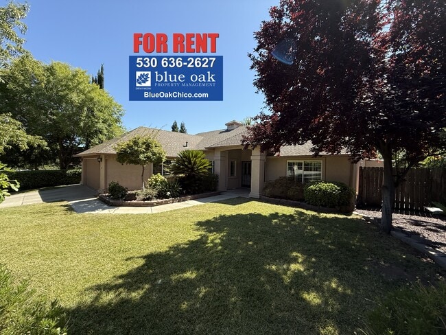 property at 19 Goldeneye Ct