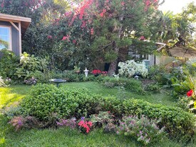 87-3220 Datura Rd in Captain Cook, HI - Building Photo