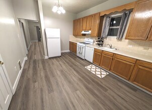 239 South Grant Street in Denver, CO - Building Photo - Building Photo