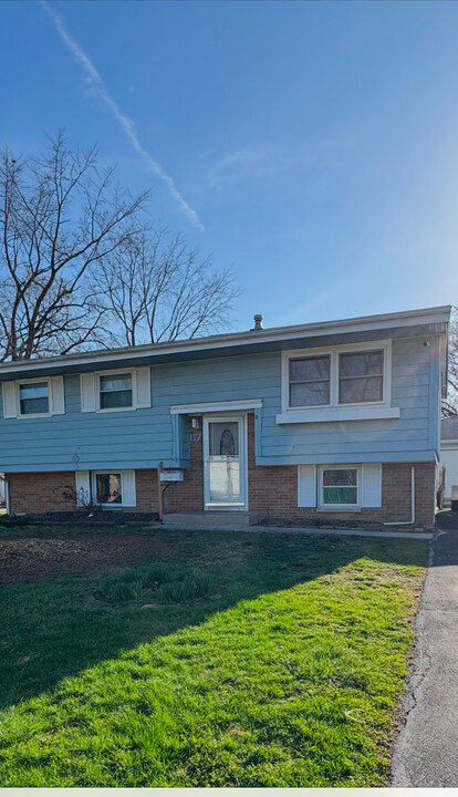 117 S Willow Ln in Glenwood, IL - Building Photo