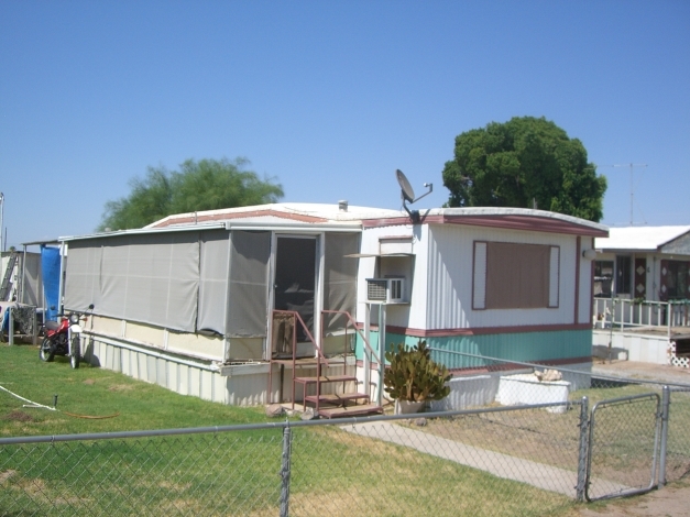 Cactus Tree in Yuma, AZ - Foto de edificio - Building Photo