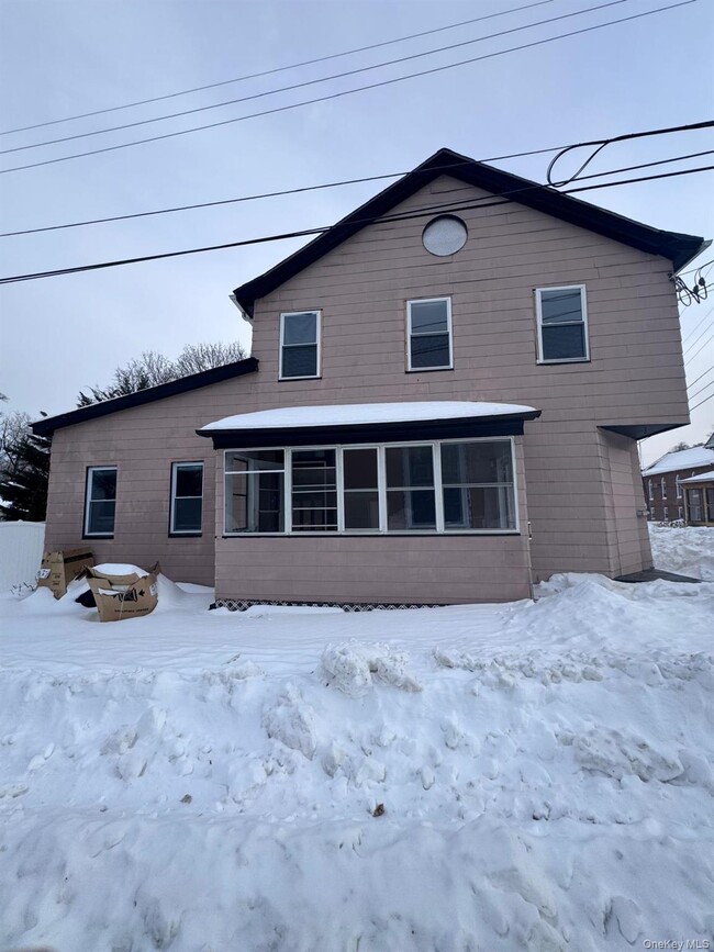 20 Sycamore St in Kingston, NY - Building Photo - Building Photo