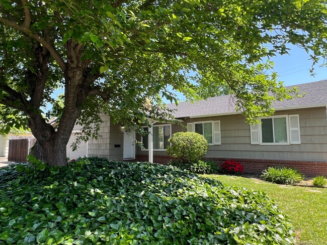 4200 Freida Maria Ct in Carmichael, CA - Building Photo - Building Photo
