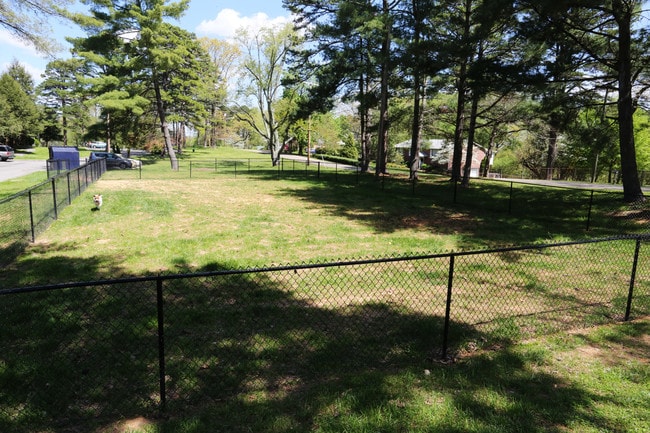 The Hammond Apartments in Knoxville, TN - Building Photo - Building Photo