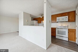 303 Palmspring Dr in Gaithersburg, MD - Building Photo - Building Photo