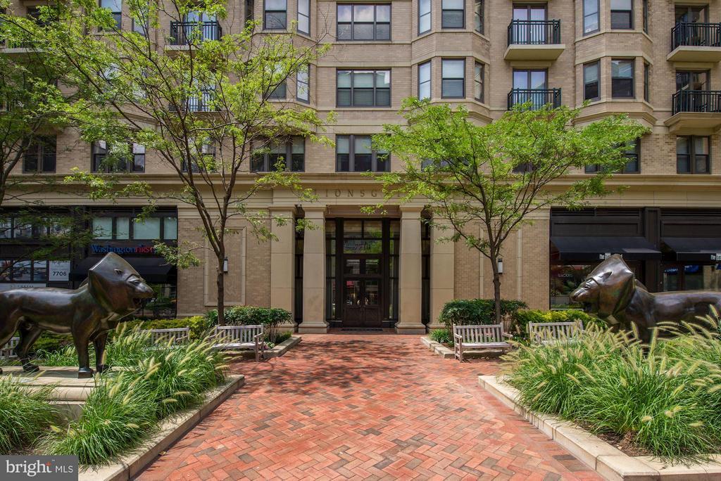 7710 Woodmont Ave in Bethesda, MD - Building Photo