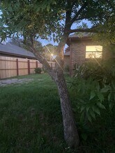 1007 Dandelion Dr in Mesquite, TX - Building Photo - Building Photo