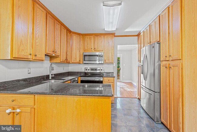 12027 Cheviot Dr in Herndon, VA - Building Photo - Building Photo