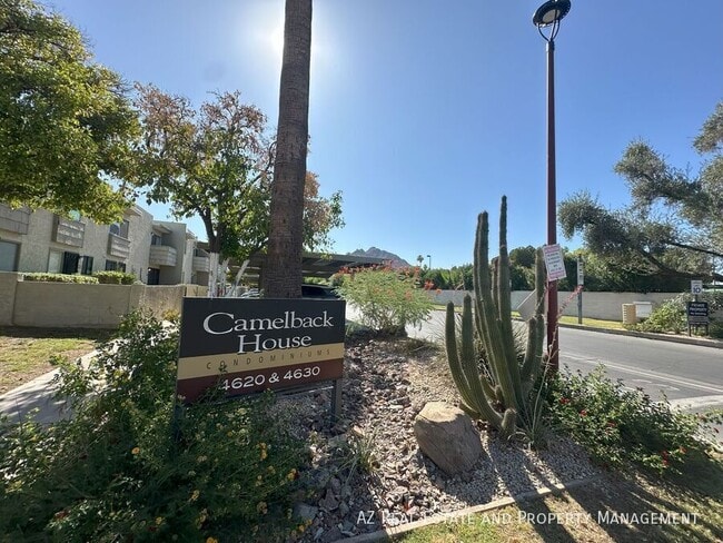 4620 N 68th St in Scottsdale, AZ - Building Photo - Building Photo