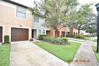 2447 Hibiscus Bay Ln in Brandon, FL - Building Photo - Building Photo