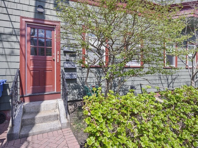 67 Ellery St, Unit 2 in Cambridge, MA - Building Photo - Building Photo
