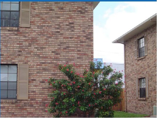Palasias in Tampa, FL - Foto de edificio - Building Photo