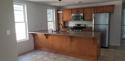 517 Park Ave in Syracuse, NY - Building Photo - Building Photo