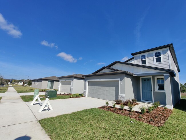 34617 Telluride Ln in Wesley Chapel, FL - Building Photo - Building Photo