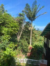 1620 Kaupakalua Rd in Haiku, HI - Building Photo - Building Photo