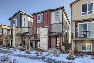 11241 Modern Mdw Lp in Colorado Springs, CO - Building Photo