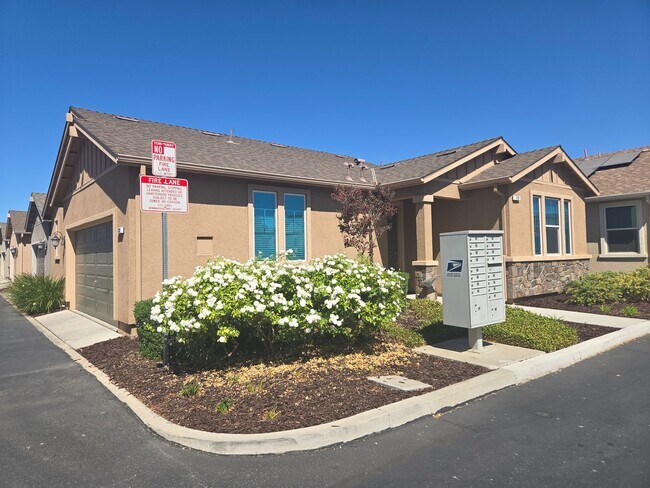 139 Novella Dr in Newman, CA - Building Photo - Building Photo