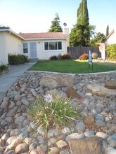 702 St Andrews Dr in Vacaville, CA - Building Photo - Building Photo