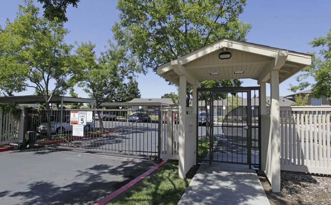 Silver Oak Apartments in Oakley, CA - Building Photo - Building Photo