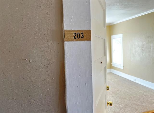 315 Normal St in Denton, TX - Foto de edificio - Building Photo