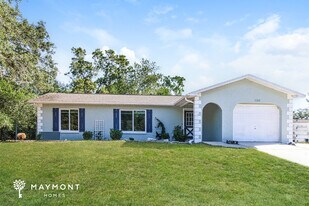 11303 Redgate St in Spring Hill, FL - Building Photo