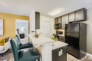 Palencia in Tampa, FL - Building Photo