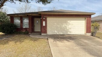 317 McCarthur Dr in Leander, TX - Building Photo