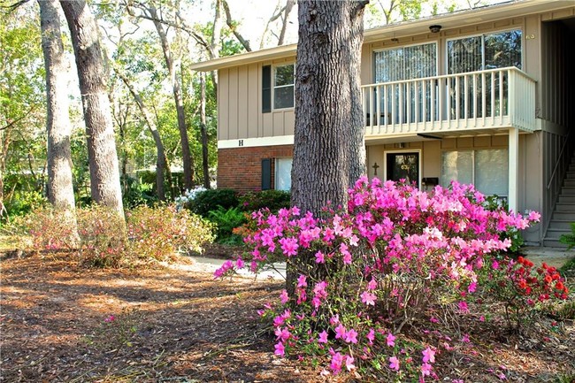 property at 800 Mallery St