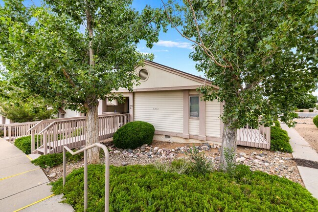 property at 3171 Shoshone Dr