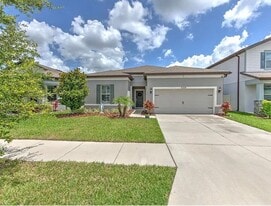 10308 Malvasia Ave in Riverview, FL - Building Photo