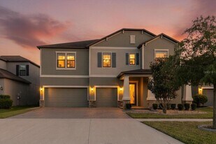 11721 Sunburst Marble Rd in Riverview, FL - Building Photo