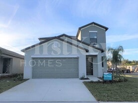 10001 RoseMary Leaf Ln in Riverview, FL - Building Photo