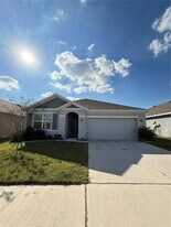 33318 Hamilton Hl Ln in Wesley Chapel, FL - Building Photo