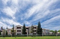 Building Photo - The Artisan Apartments in Sacramento, California