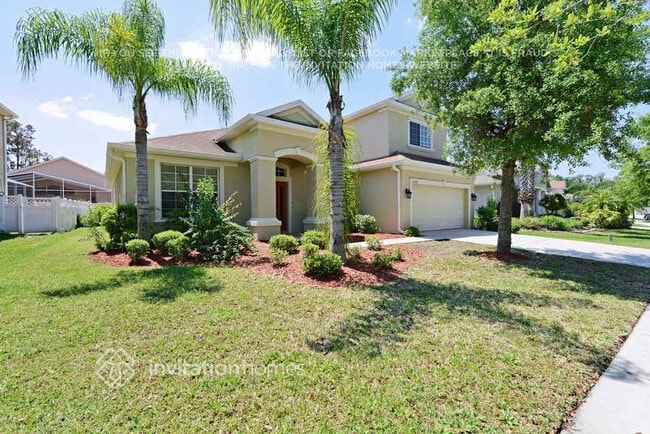 27042 Firebush Dr, Unit 3 in Wesley Chapel, FL - Building Photo - Building Photo